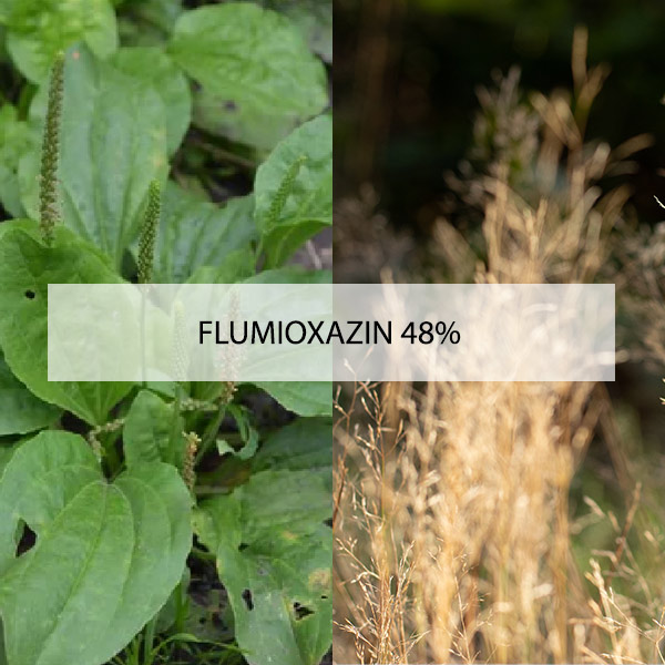 flumioxazin-48%