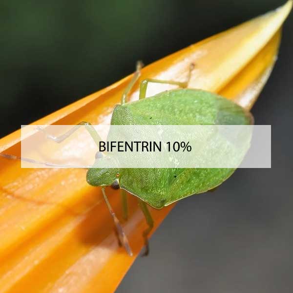 Bifentrin-10