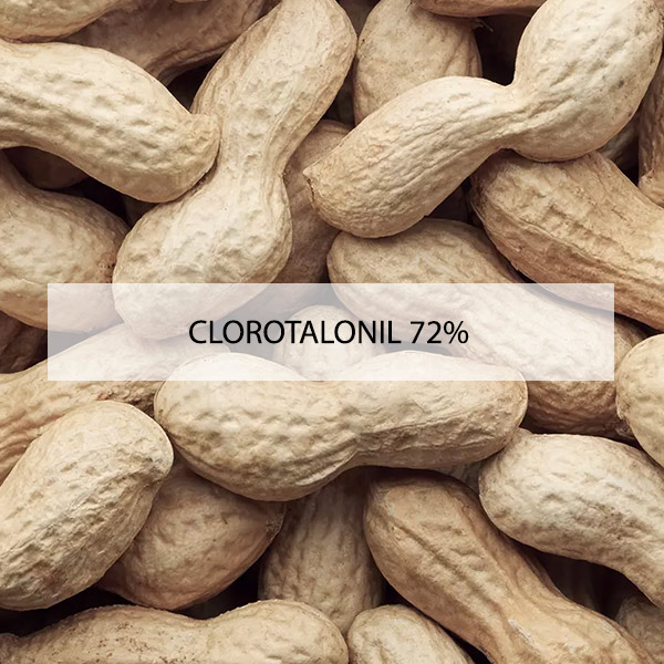 clorotalonil_72